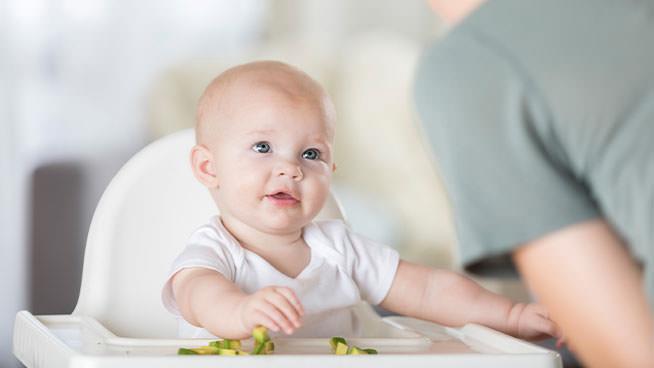 Baby Food Ideas At 7 Months Old | Enfamil