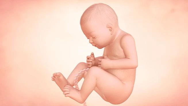 33 Weeks Pregnant: Baby Development, Symptoms & Signs