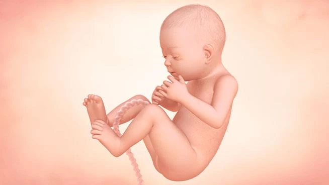 30 weeks pregnant: Symptoms, tips & baby development