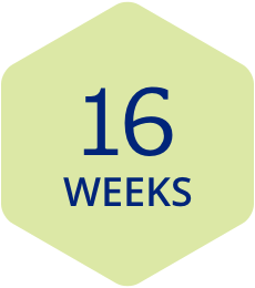 17 weeks pregnant  Raising Children Network